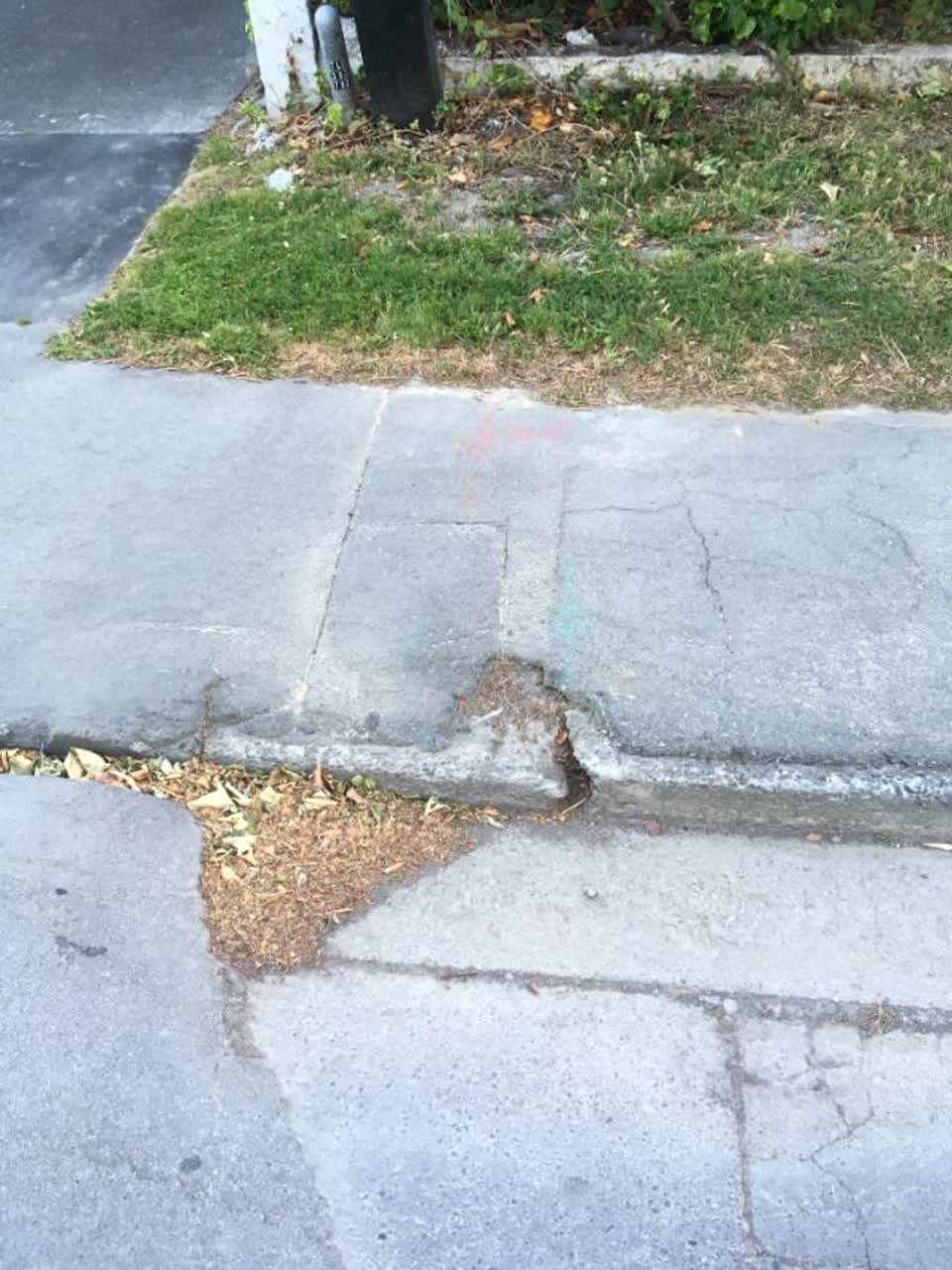 The photograph attached to this roading/streets report
