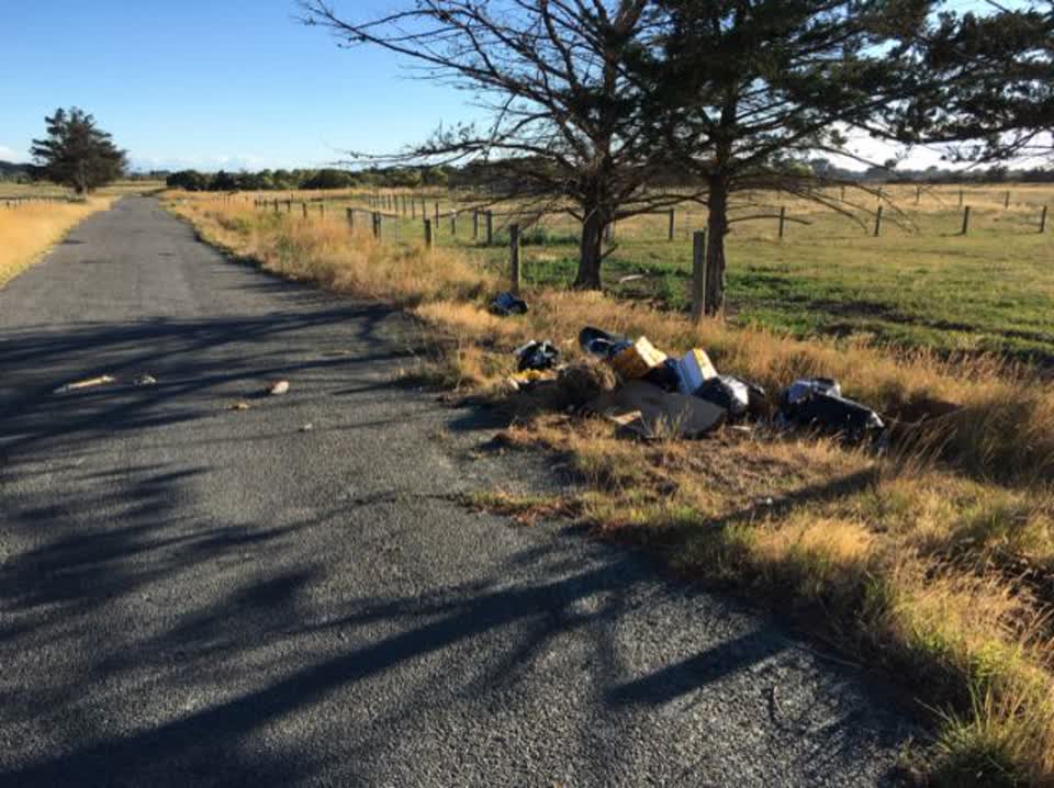 The photograph attached to this rubbish/recycling report