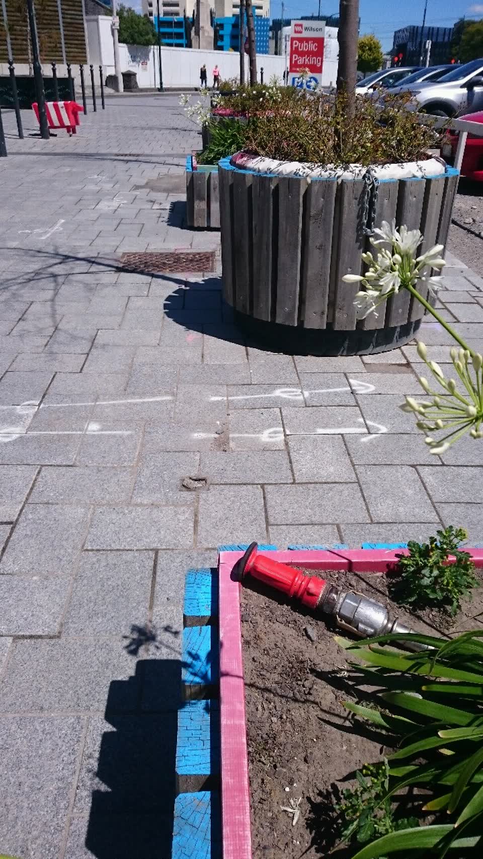 The photograph attached to this parks report
