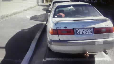 Roading/Streets, a report photo