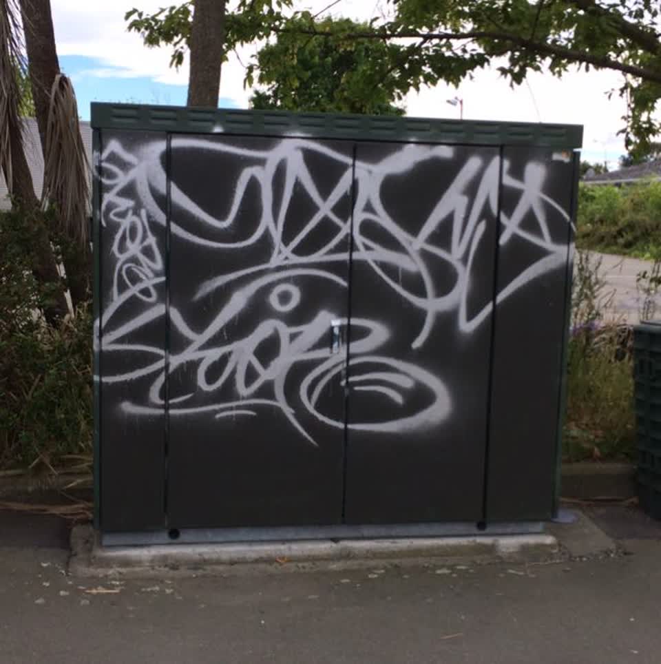 The photograph attached to this graffiti report