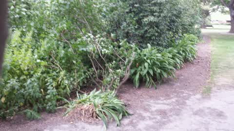 Parks — a report photo