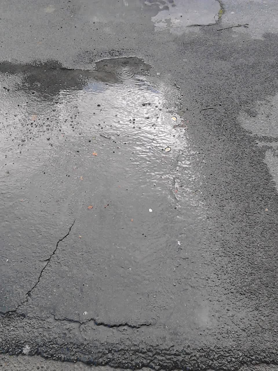 The photograph attached to this water supply report