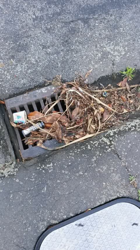 Roading/Streets, a report photo