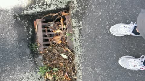 Roading/Streets, a report photo