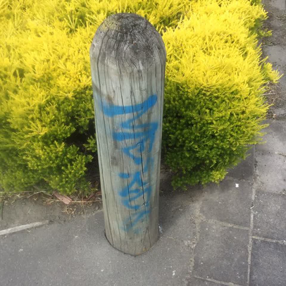 The photograph attached to this graffiti report
