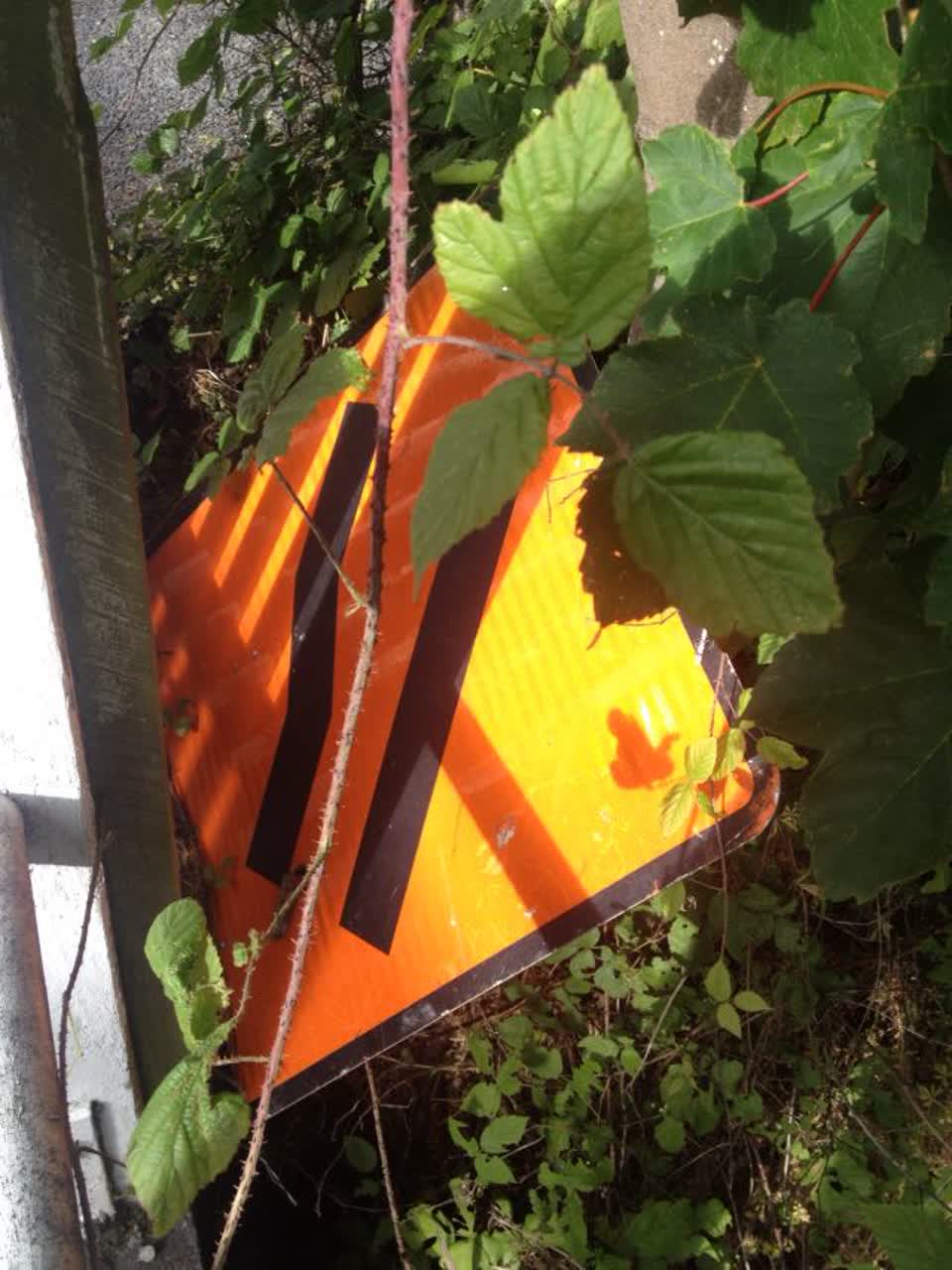 The photograph attached to this roading/streets report
