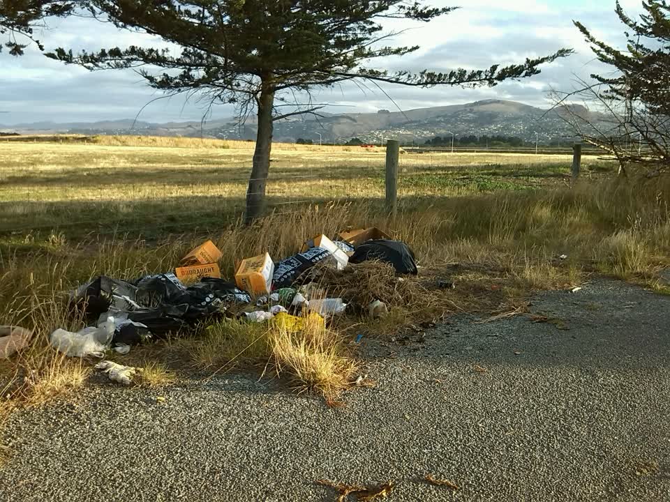 The photograph attached to this rubbish/recycling report
