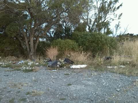 Rubbish/Recycling, a report photo