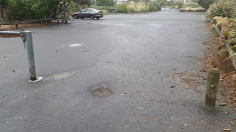Parks, a report photo