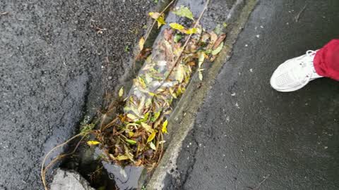 Roading/Streets, a report photo