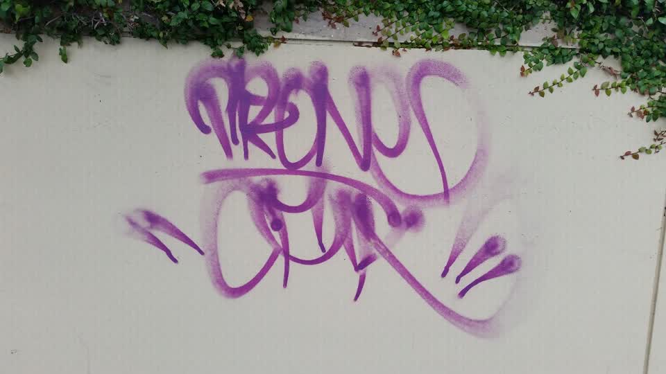 The photograph attached to this graffiti report