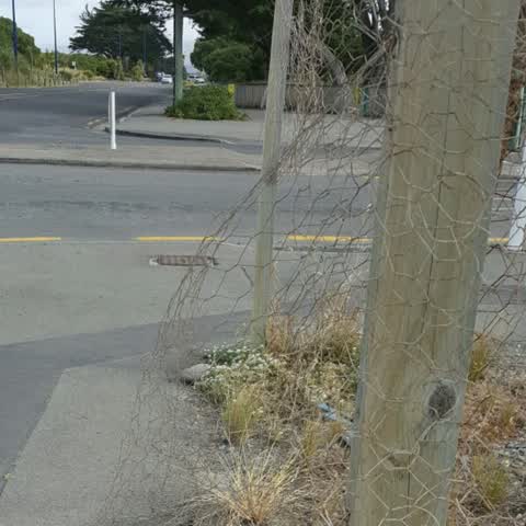 Roading/Streets, a report photo