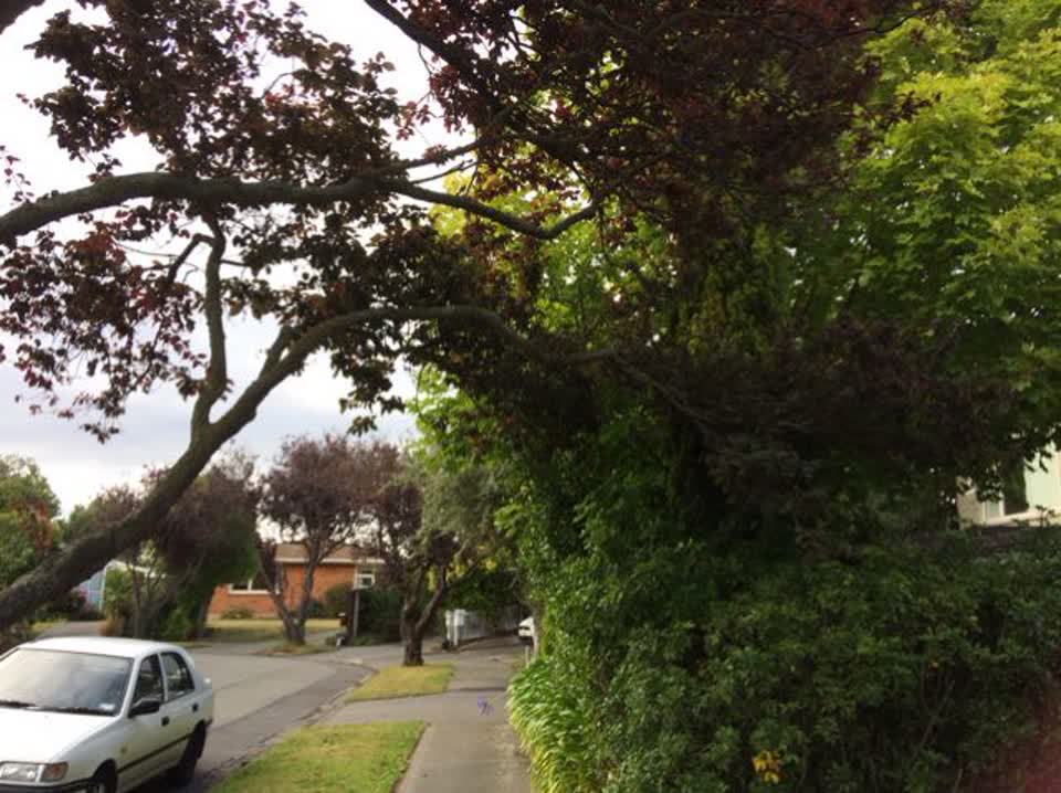 The photograph attached to this roading/streets report