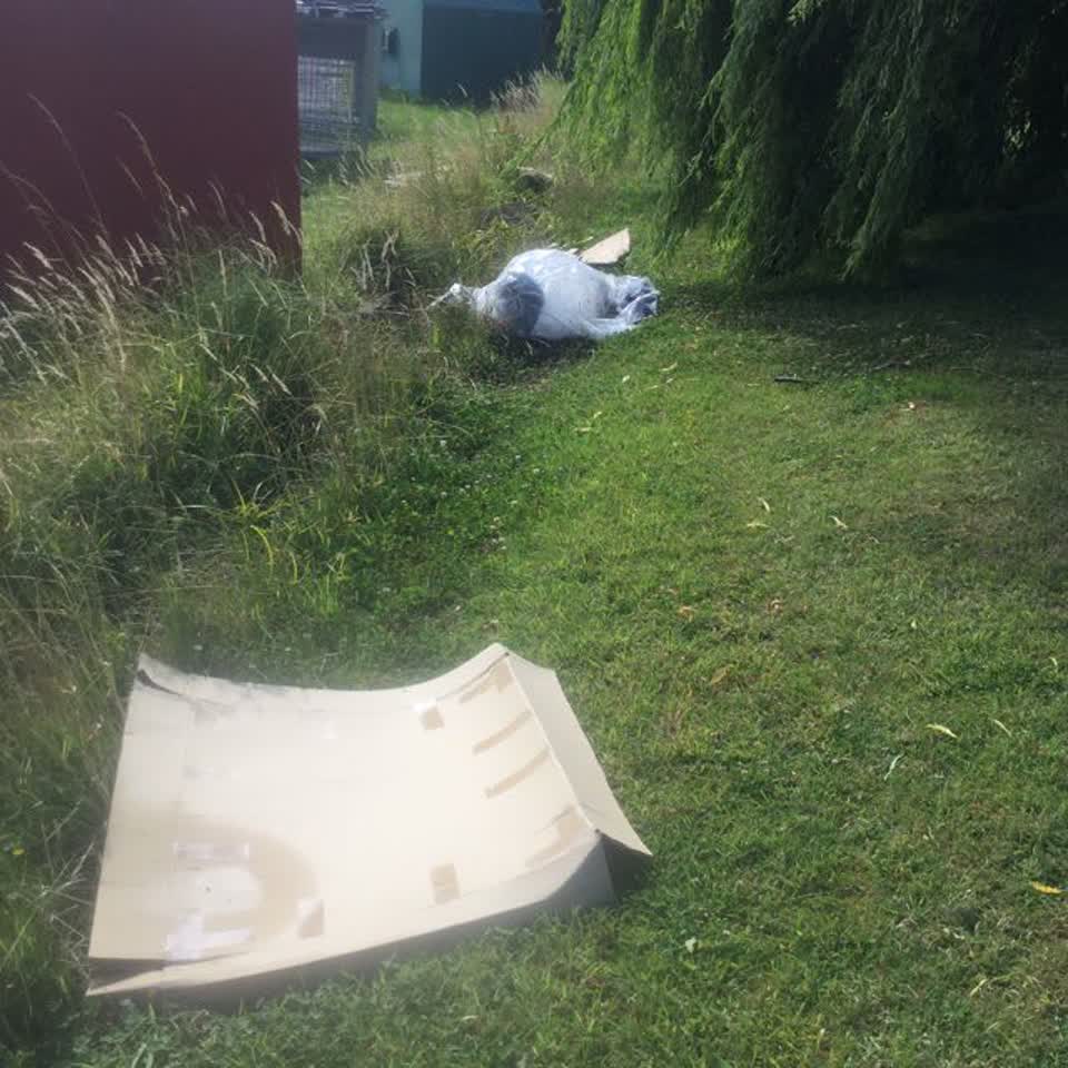 The photograph attached to this parks report