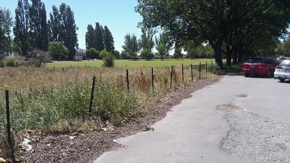 The photograph attached to this parks report