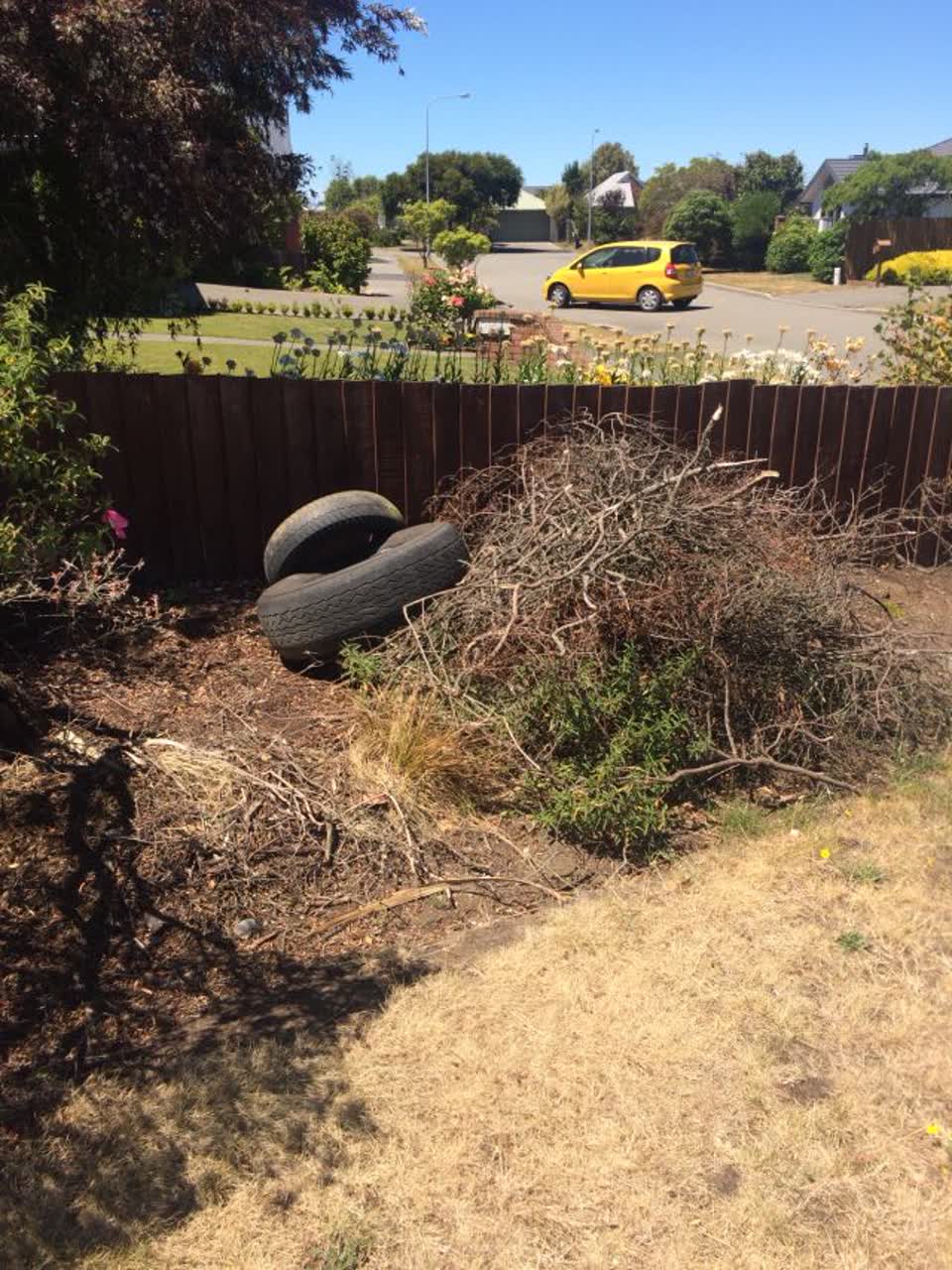 The photograph attached to this parks report