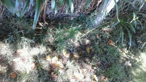 Water Supply, a report photo