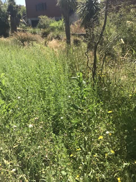Parks, a report photo