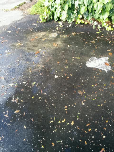 Water Supply, a report photo