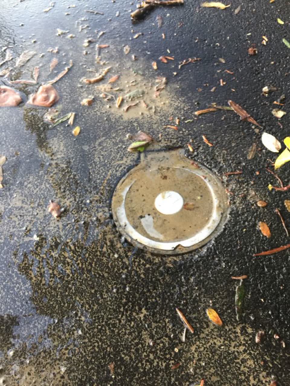 The photograph attached to this water supply report