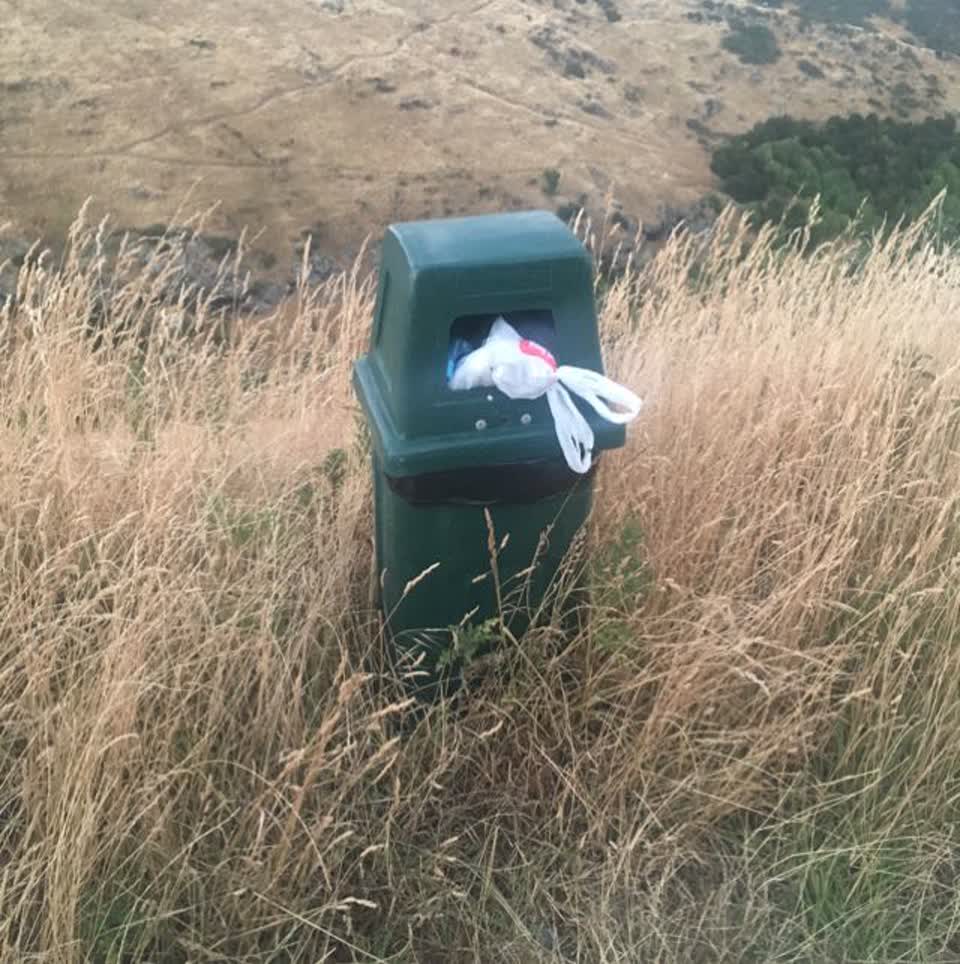 The photograph attached to this rubbish/recycling report