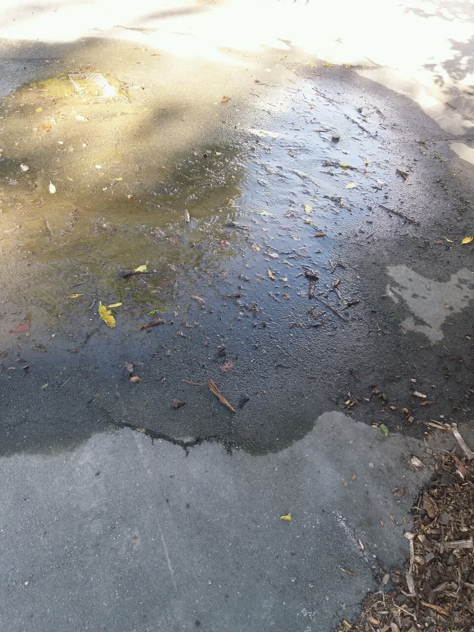 The photograph attached to this wastewater/stormwater report
