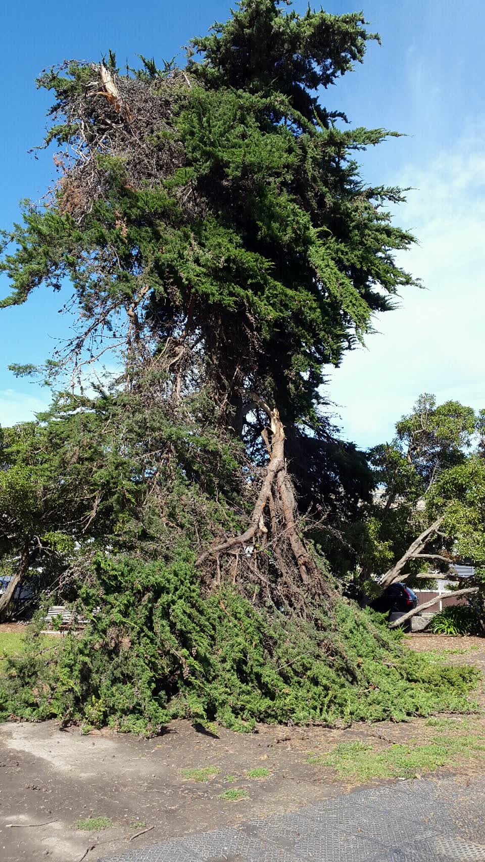 The photograph attached to this parks report