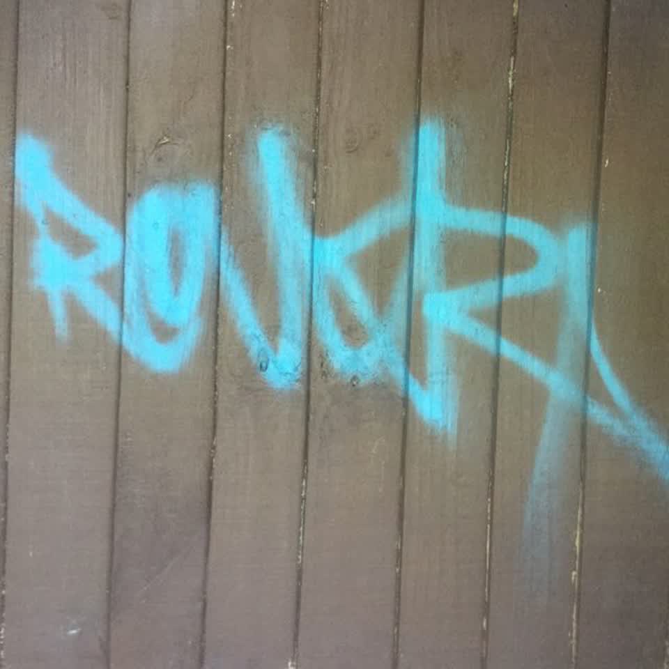 The photograph attached to this graffiti report