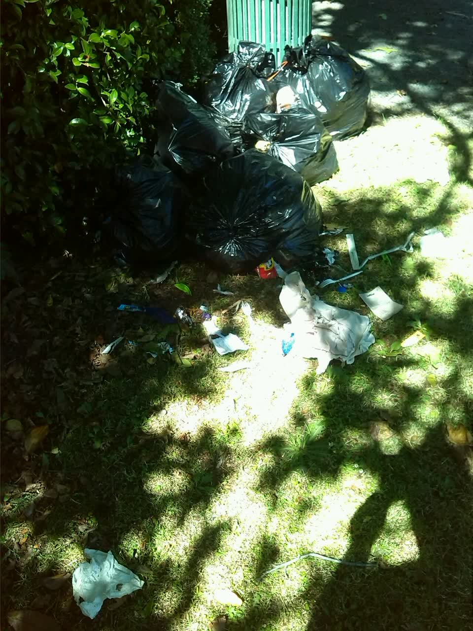 The photograph attached to this rubbish/recycling report