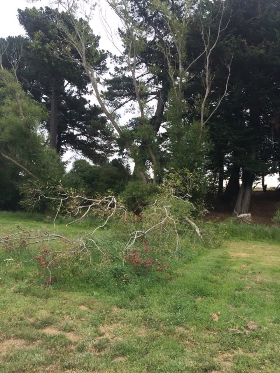 The photograph attached to this parks report