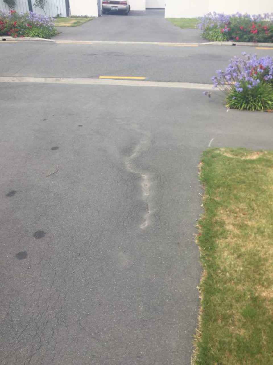 The photograph attached to this roading/streets report