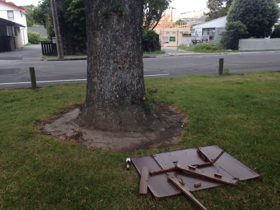 The photograph attached to this parks report
