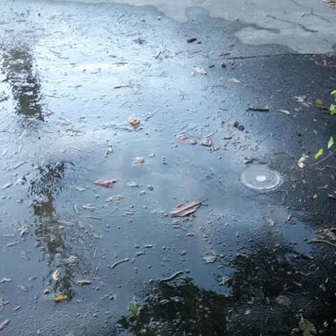 Wastewater/Stormwater, a report photo