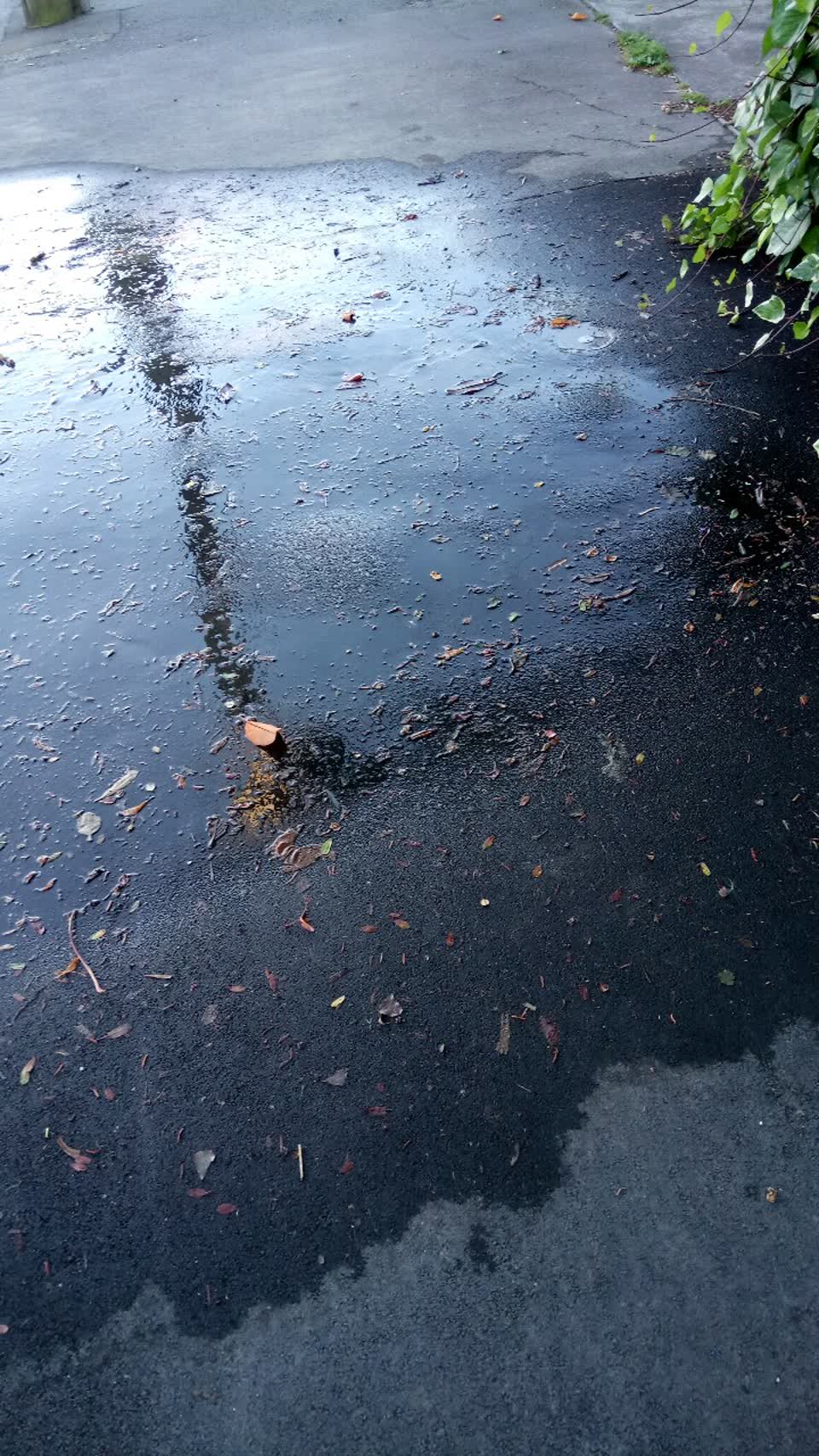 The photograph attached to this water supply report