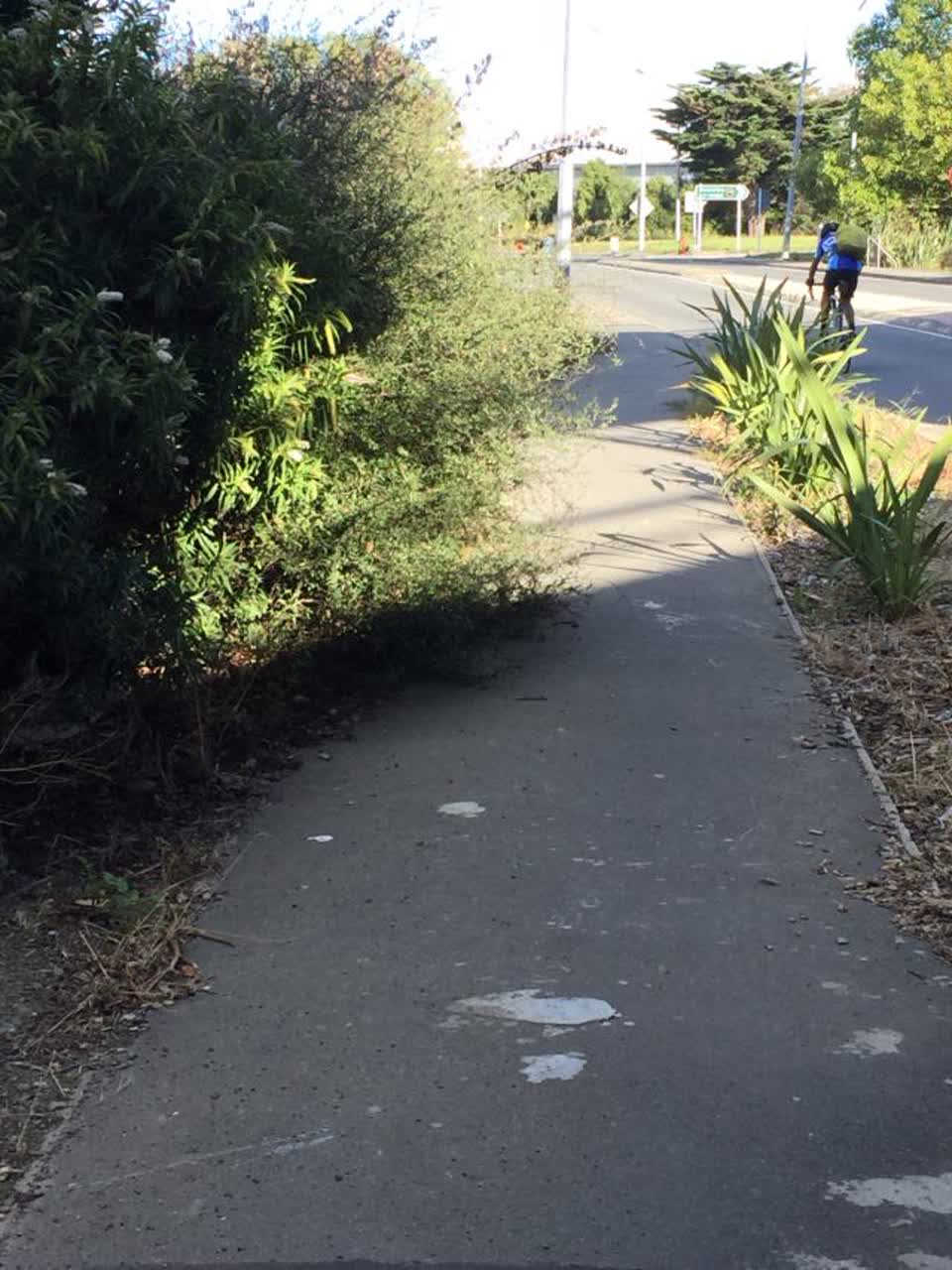 The photograph attached to this roading/streets report