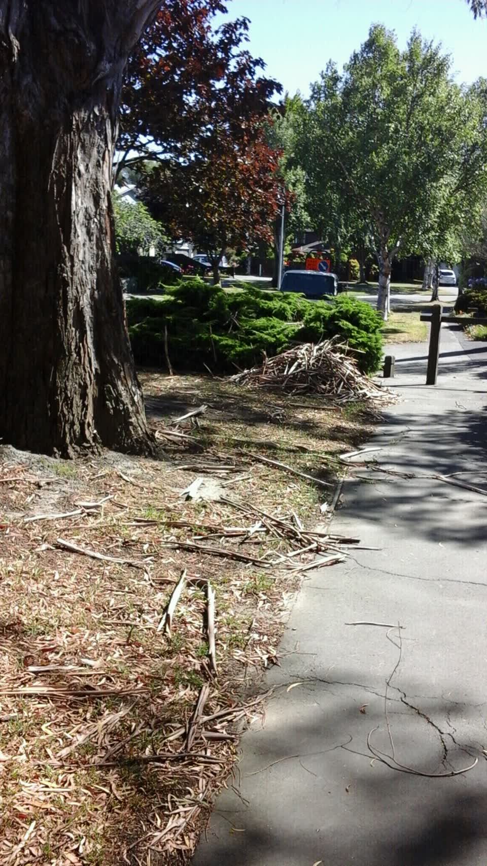 The photograph attached to this parks report