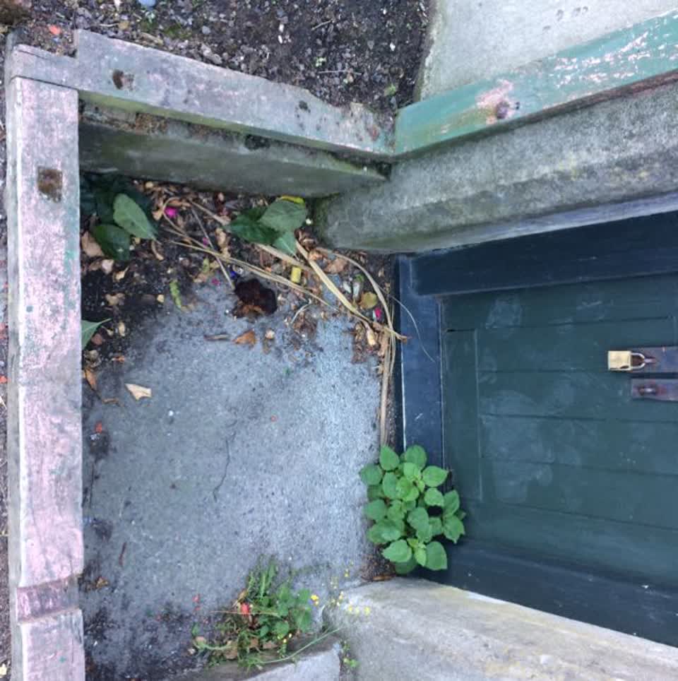 The photograph attached to this parks report