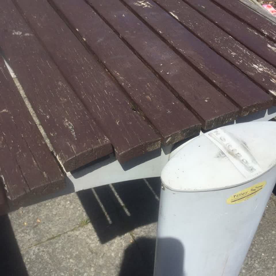 The photograph attached to this parks report