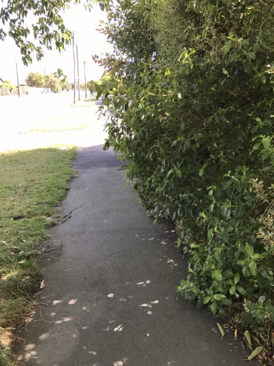 The photograph attached to this roading/streets report