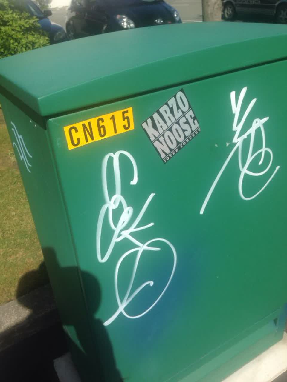 The photograph attached to this graffiti report