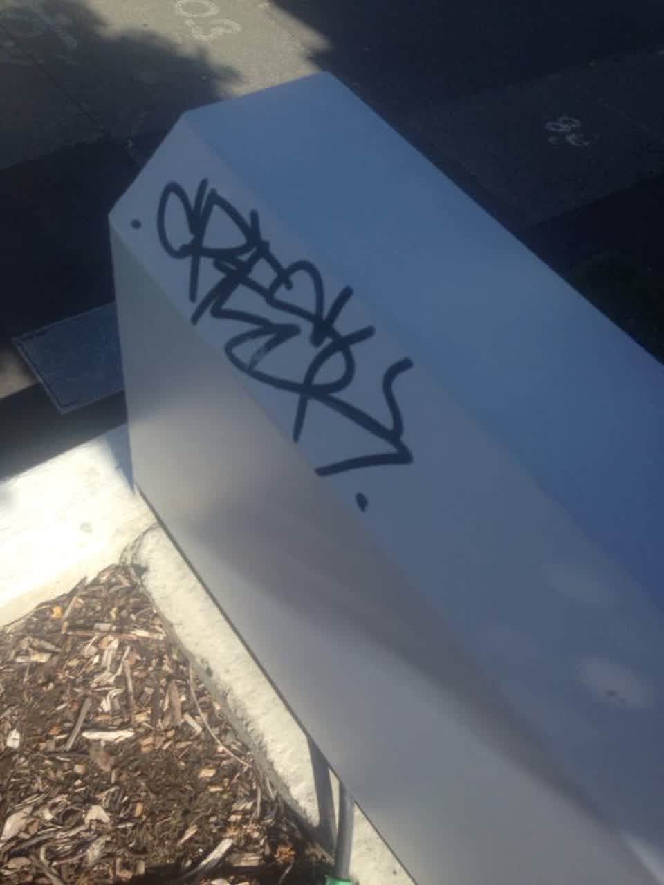 The photograph attached to this graffiti report
