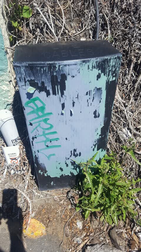 Graffiti, a report photo