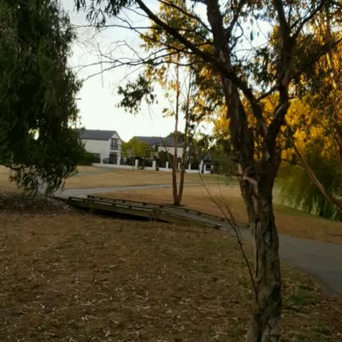 Parks, a report photo
