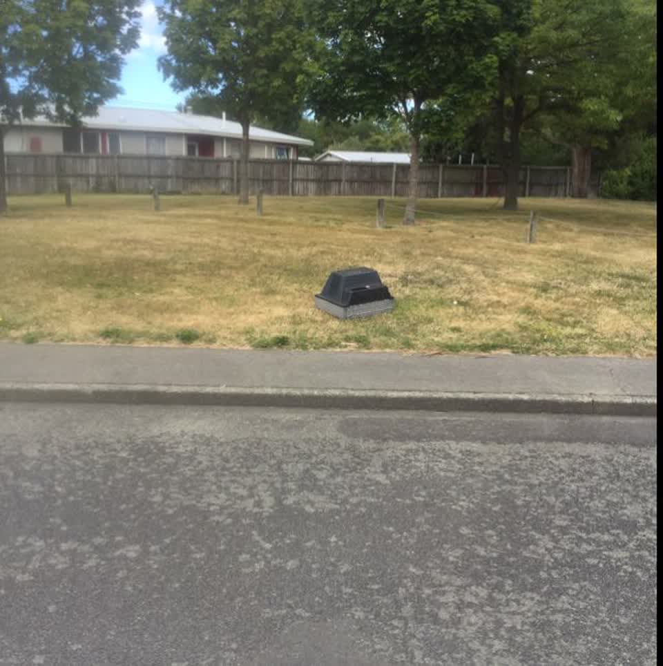 The photograph attached to this parks report