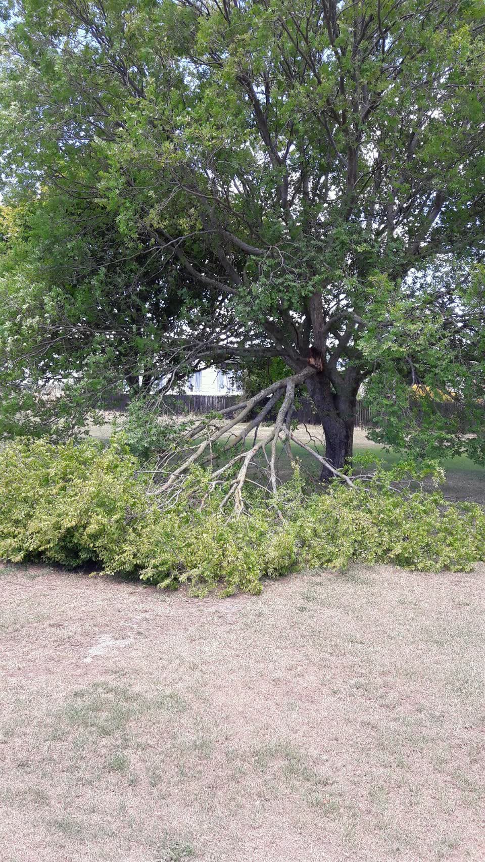 The photograph attached to this parks report