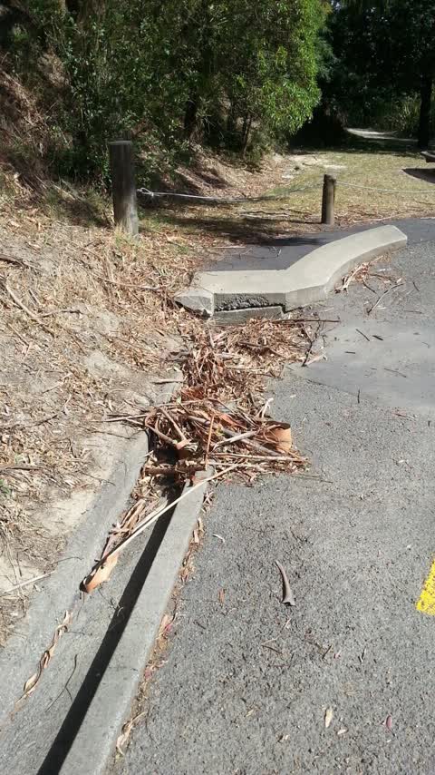 Parks, a report photo
