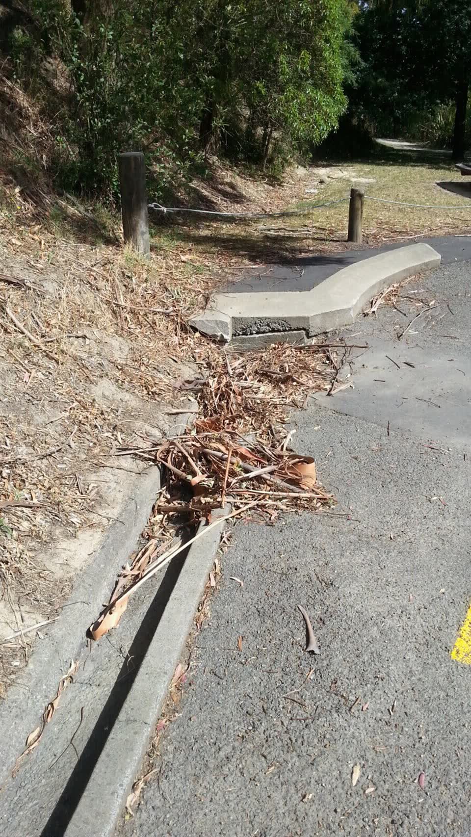 The photograph attached to this parks report