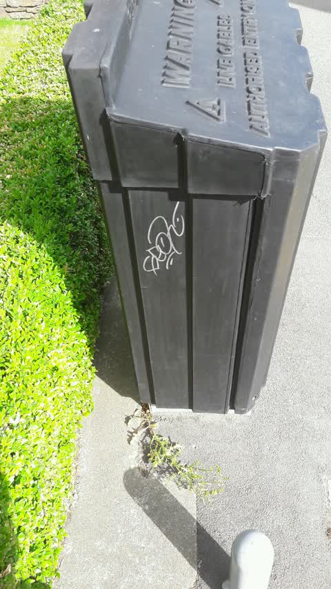 Graffiti, a report photo