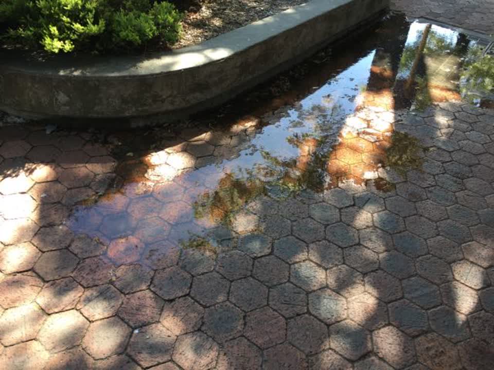 The photograph attached to this water supply report